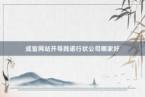 成皆网站开导践诺行状公司哪家好