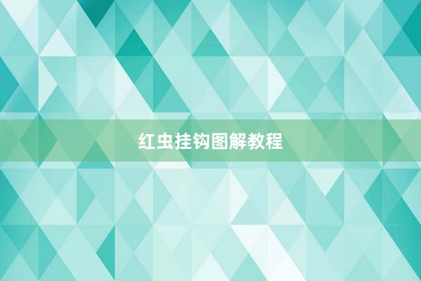 红虫挂钩图解教程
